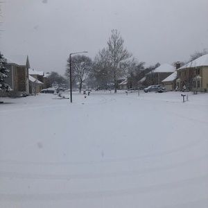 Meet your Posher, Erika